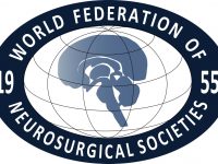 world-federation-neurosurgical-societes-Marisa-Gandia